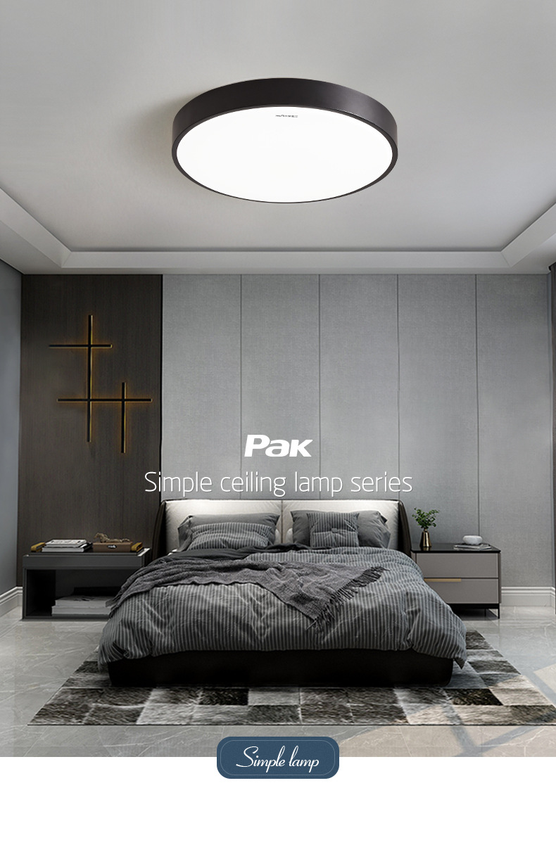 三雄极光 星简LED北欧风黑色灯具